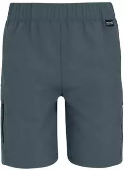 Regatta Sorcer III Shorts grau