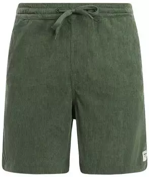 Protest PRTULEYO Shorts (23751007) thyme