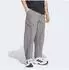 Adidas Terrex Xploric CLIMA365 Cargohose Grey Four (KH0010)
