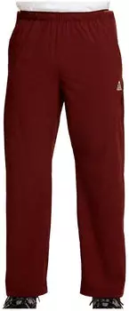 Nike ACG Dri-Fit High Stakes Pants (IR2248-658) mystic dates/summit white