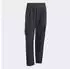Adidas Terrex Xploric CLIMA365 Cargohose