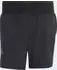 adidas Terrex Xperior Clima365 Hose kurz (Herren)