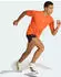 adidas Terrex Xperior Clima365 Hose kurz (Herren)