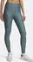 Under Armour HeatGear Tights (1365336)