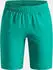 Under Armour Tech Woven Wordmark Short (1383341)
