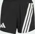adidas Terrex Xperior Pro Aero Hose kurz schwarz (Herren) (KC4962)
