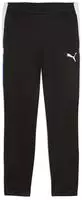 Puma 659517-09, PUMA IndividualLIGA Trainingshose Herren 09 - PUMA black/PUMA