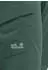Jack Wolfskin Prelight Pulse Hose lang sago palm (Herren) (A65858-E0271)