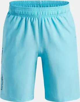 Under Armour Tech Woven Wordmark Short (1383341)