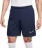 Nike Academy Dri-FIT Fußballhose Herren (HJ3796)