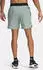 Under Armour Peak Hose kurz silica green/black (Herren) (1376782-348)