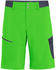 Salewa Pedroc Cargo 2 DST Shorts Men pale frog