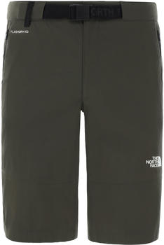 The North Face Mens Lightning Shorts Men (495O) new taupe green