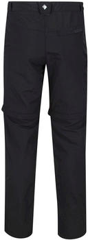 Regatta Men's Leesville II Zip Off Walking Trousers ash