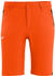 Salewa Talveno Durastretch Men's Shorts