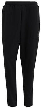 Adidas TERREX Multi Primegreen Pants black