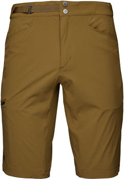 Black Diamond Men's Valley Shorts (AP751106) brown