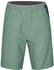 Ortovox Men's Piz Selva Shorts (62745) green