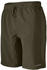 Patagonia Terrebonne Shorts 10