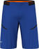 Salewa Men's Pedroc Pro Dst Cargo Shorts (28599) blue