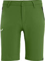Salewa 27064, SALEWA Herren Shorts *TALVENO DST M SHORTS Gr&uuml;n male