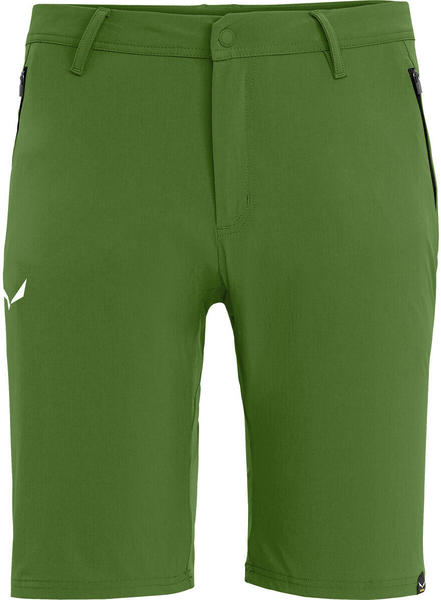 Salewa Men's Talveno Shorts (27064) green