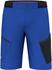 Salewa Men's Pedroc 3 Dst Cargo Shorts (28601) blue electric