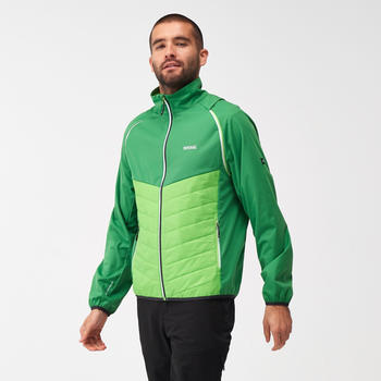 Regatta Steren Hybrid-Softshelljacke f&uuml;r Herren (RML251) field green jasmine green ash
