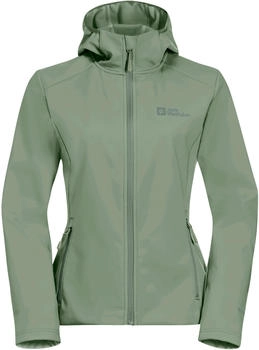 Jack Wolfskin Bornberg Hoody Women eucalyptus