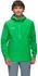 Mammut Alto Light HS Hooded Jacket Men (1010-30660) pinea
