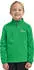 Jack Wolfskin Taunus Halfzip Kids Fleecepullover green mystic green