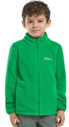 Jack Wolfskin Taunus Jacket Kids (1609482) green mystic green