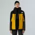 The North Face Summit Mountain GTX Pro Jacke gelb schwarz