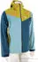 Salewa Puez Aqua 4 PTX 2.5L Jacke (00-0000028615) olive oil/multi