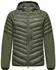 Salewa Agner Light RDS Down Jacke Damen (00-0000029281) faded green