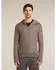 Icebreaker 260 Quantum Hoodie Men (BA56W2) porcini