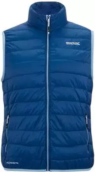 Regatta Floreo IV Fleece Anti-Pill Midlayer Top (RWB134) blau
