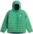 The North Face Boys' Reversible Perrito Hooded Jacket (NF0A88TW)