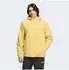 Adidas Terrex Multi Essentials Climaproof Insulated Hooded Coat (UB616) pyrite