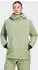 Adidas Terrex Xperior 2L RAIN.RDY Anorak (KF9968) tent green