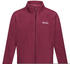 Regatta Kids' King II Full Zip Fleece (RKA147)
