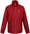 Regatta Lyle IV
