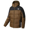 THE NORTH FACE NF0A-4M9J-WMB-L, THE NORTH FACE DIABLO DOWN Jacke 2023 military