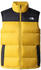 The North Face Men's Diablo Down Vest (4M9K)