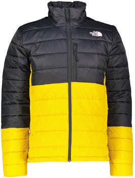 The North Face Herren Steppjacke M Synthetic schwarz/gold