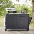 Cozze Outdoor Küche 120 x 60 x 90 cm schwarz (90526)