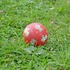 Sigikid Naturkautschuk Mini-Ball Hund