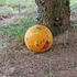 Sigikid Kautschuk Ball Dino