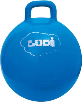 Ludi 2781