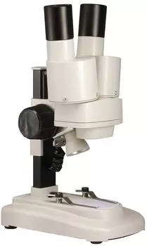 Paralux TP Junior LED
